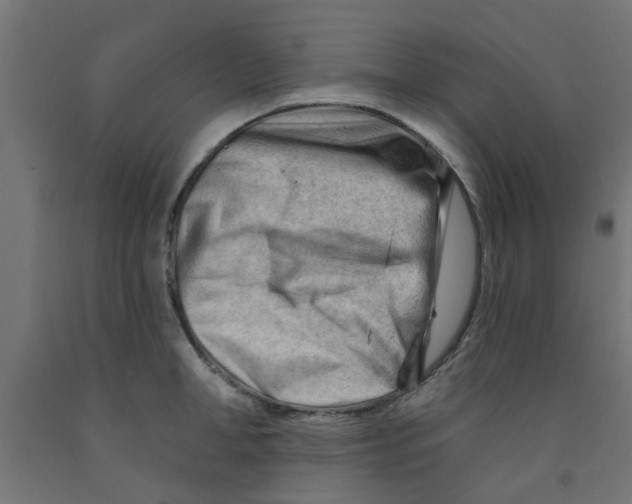 X0000090890998200708241958