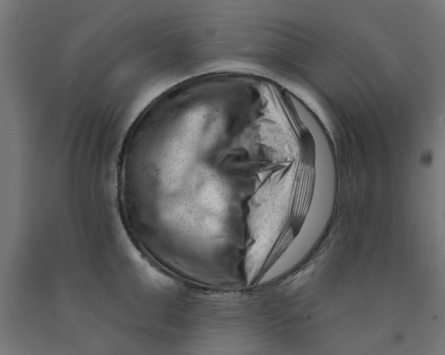 X0000090890999200708241958