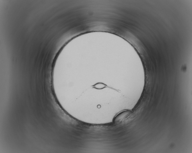 X0000090891000200708241957