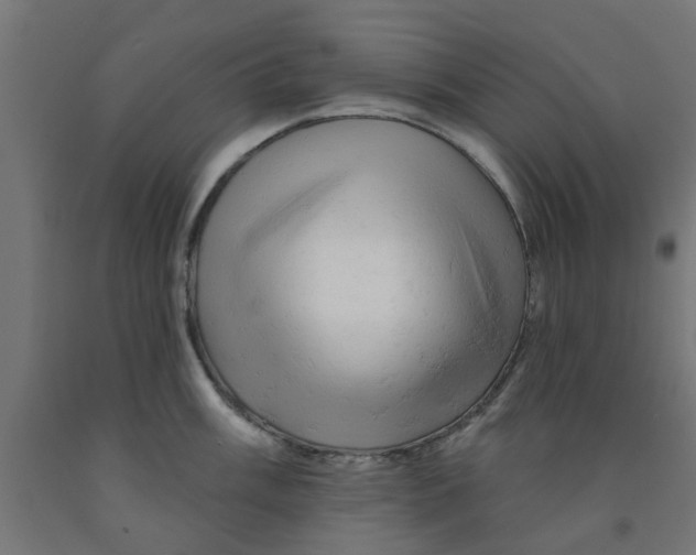 X0000090891003200708241957