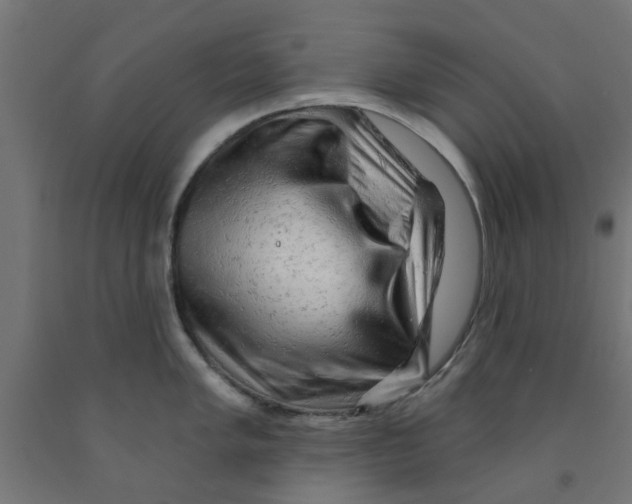 X0000090891005200708241957