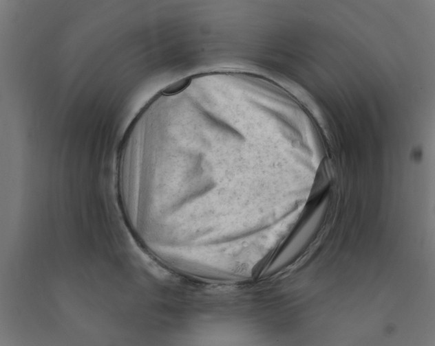 X0000090891006200708241957