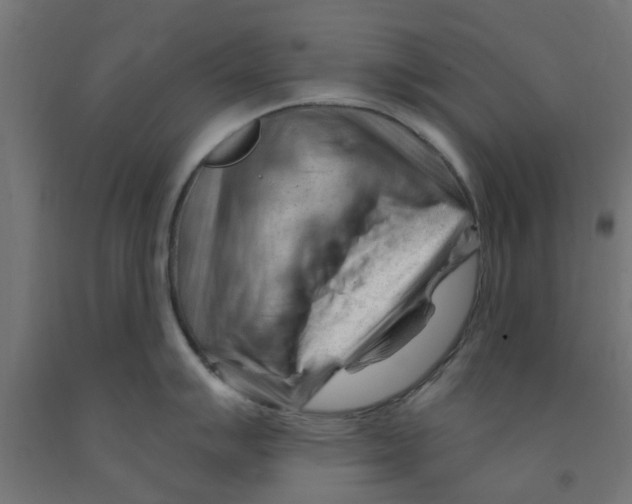 X0000090891007200708241957