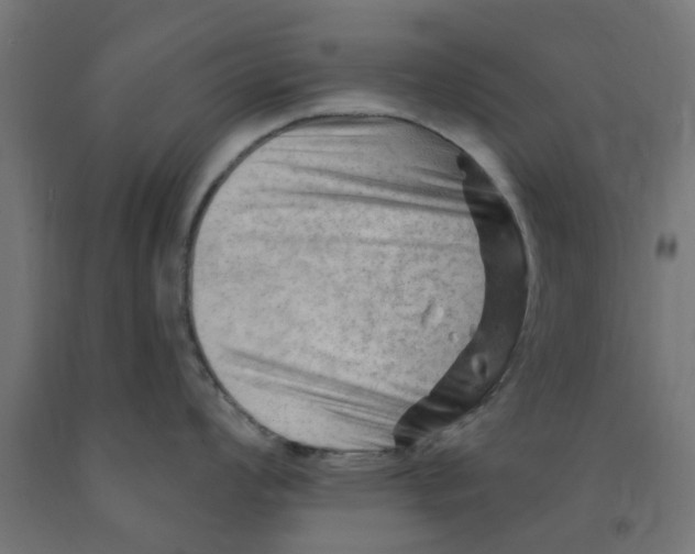 X0000090891008200708241957