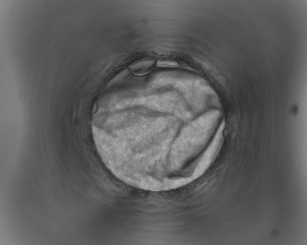 X0000090891009200708241957