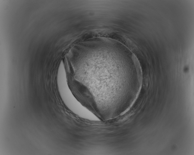 X0000090891010200708241957