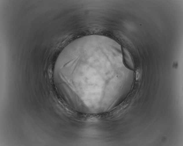 X0000090891011200708241957