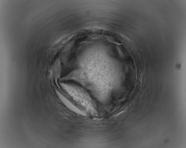 X0000090891014200708241957