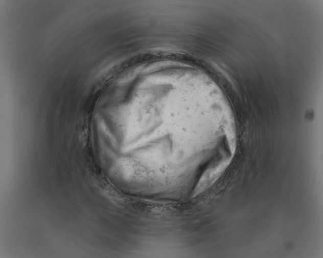 X0000090891015200708241957