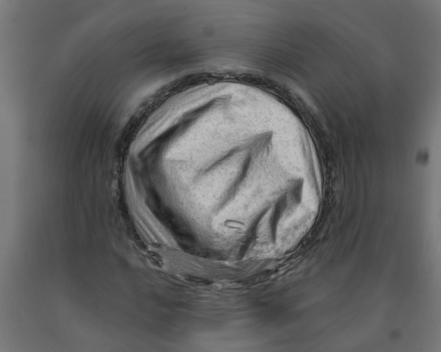 X0000090891016200708241957