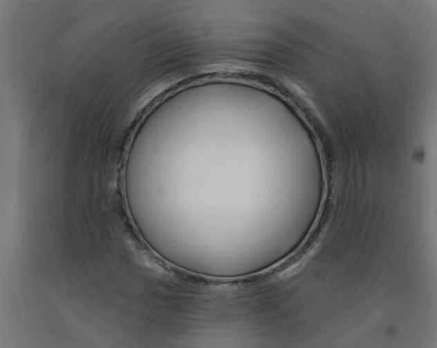 X0000090891017200708241957