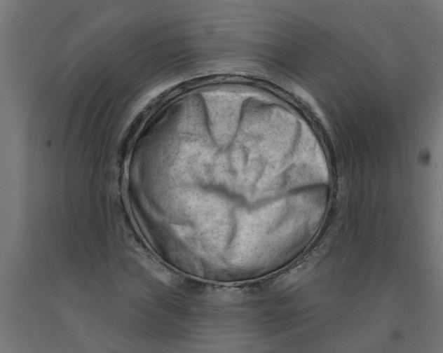 X0000090891019200708241957