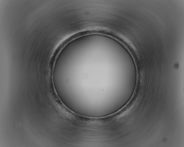 X0000090891021200708241957