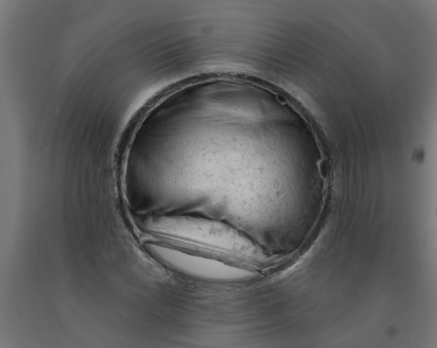 X0000090891022200708241957