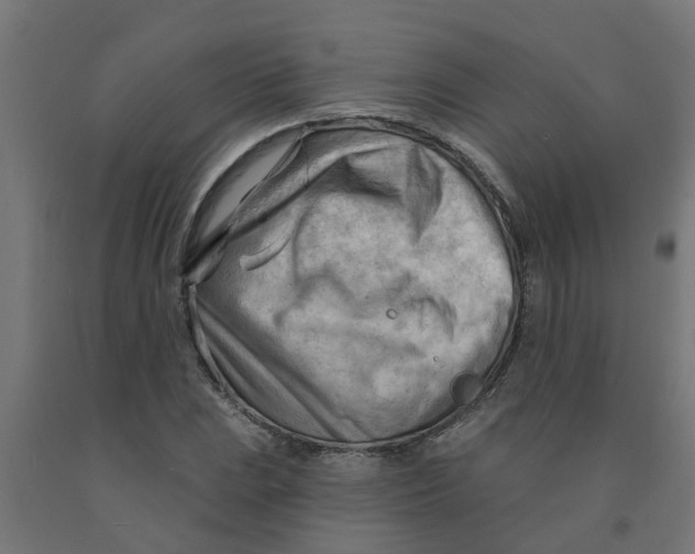 X0000090891023200708241957