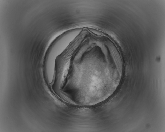 X0000090891024200708241957