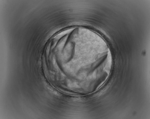 X0000090891025200708241957