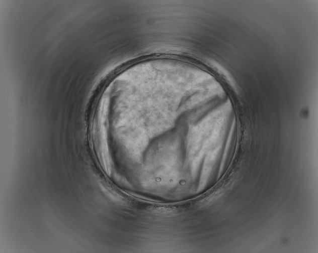 X0000090891027200708241957