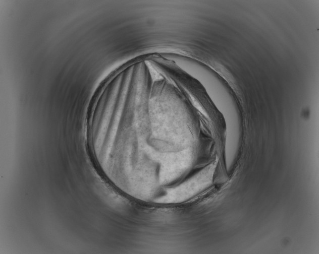 X0000090891028200708241957