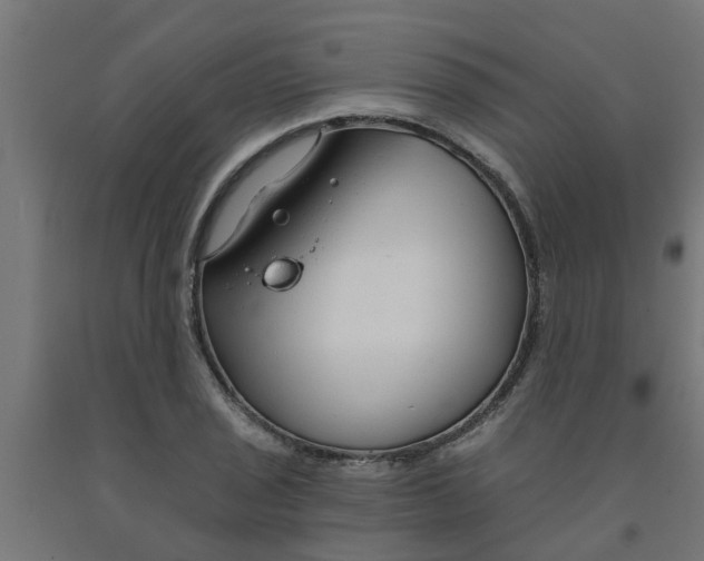 X0000090891029200708241957