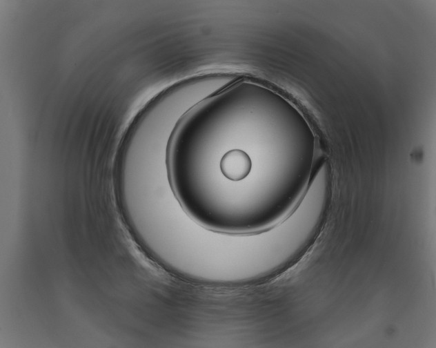 X0000090891030200708241957