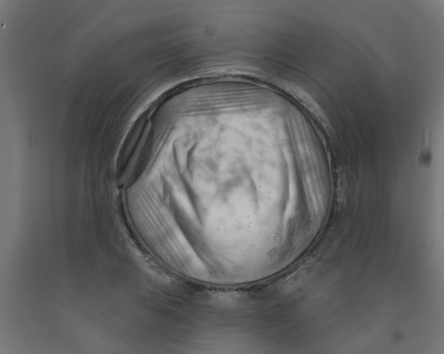 X0000090891031200708241957