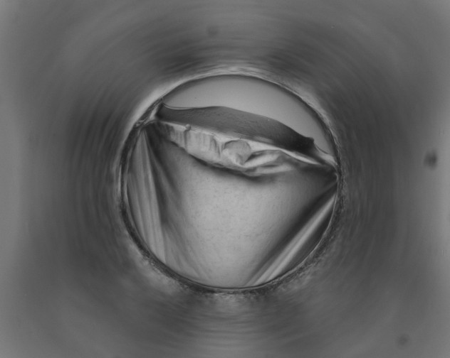 X0000090891032200708241957