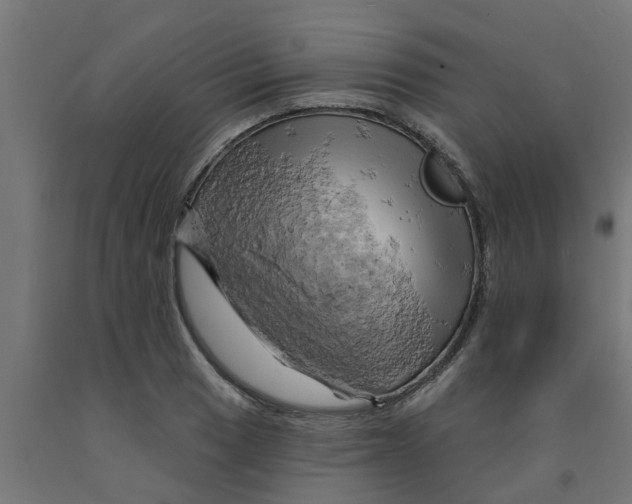 X0000090891033200708241957