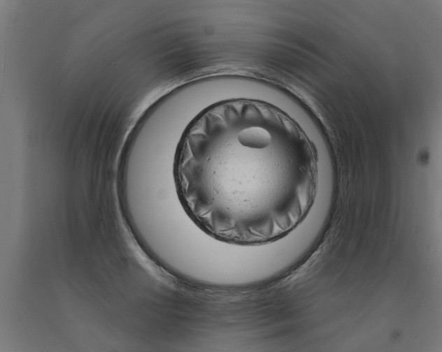 X0000090891034200708241957