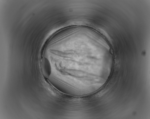 X0000090891035200708241957