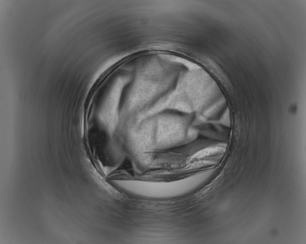 X0000090891036200708241957