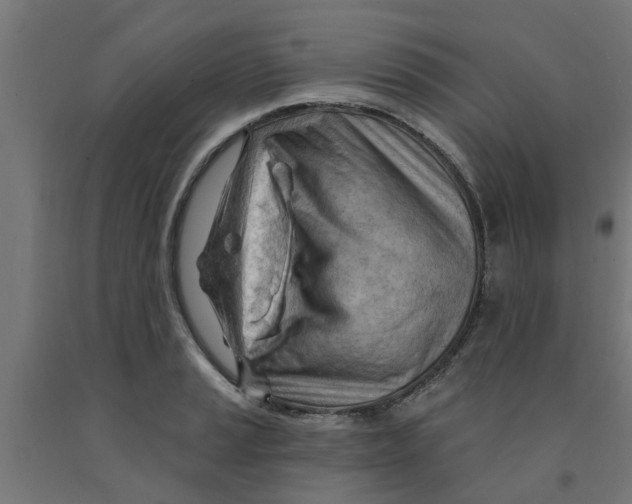 X0000090891037200708241957