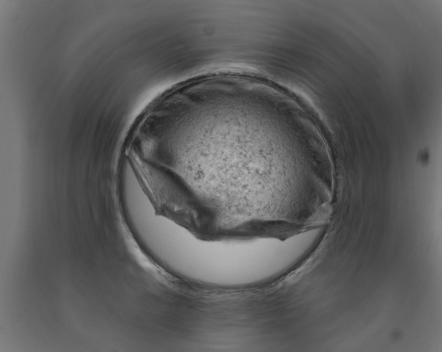 X0000090891038200708241957