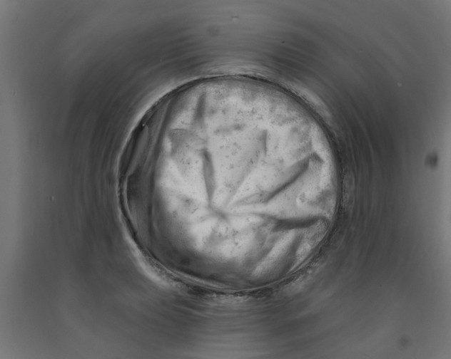 X0000090891039200708241957