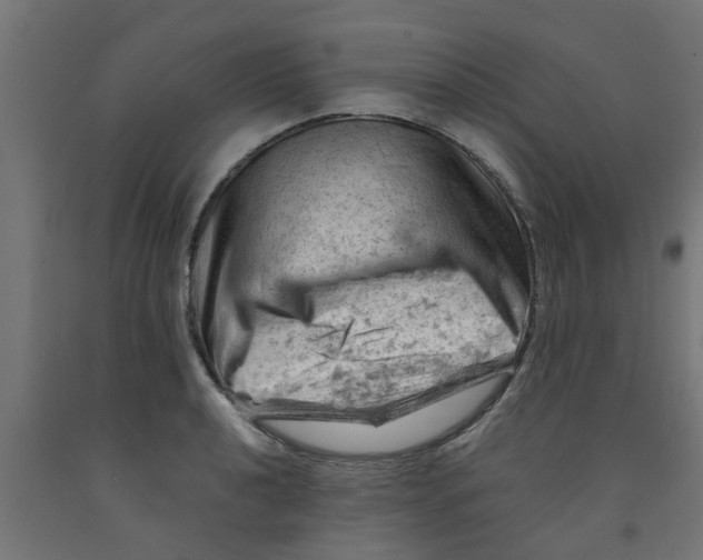 X0000090891040200708241957