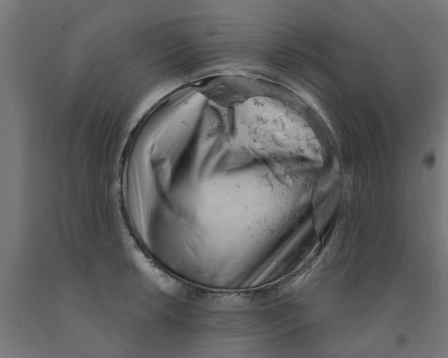 X0000090891042200708241957