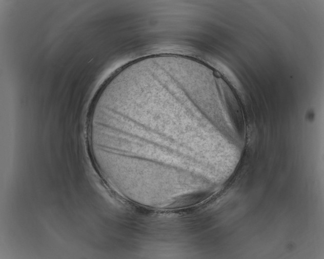 X0000090891043200708241957