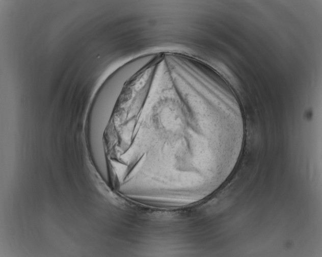 X0000090891044200708241957