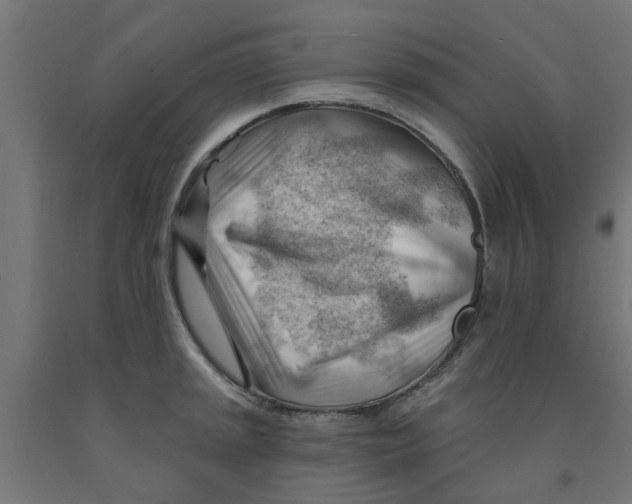 X0000090891045200708241957