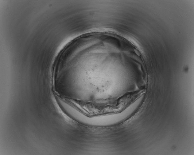 X0000090891046200708241957