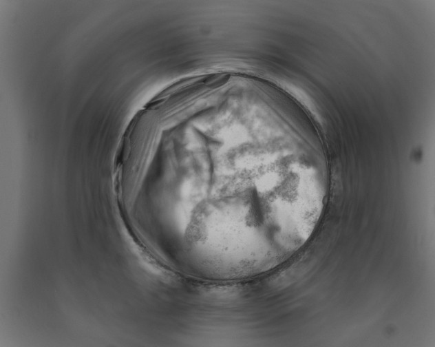 X0000090891047200708241957