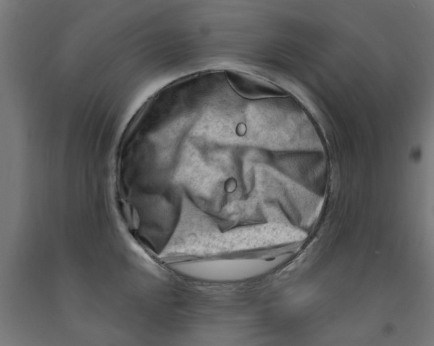 X0000090891048200708241957