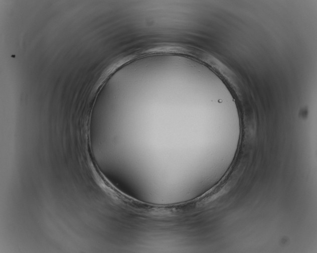 X0000090891049200708241957