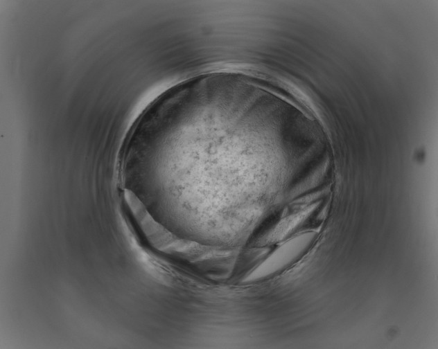 X0000090891050200708241957