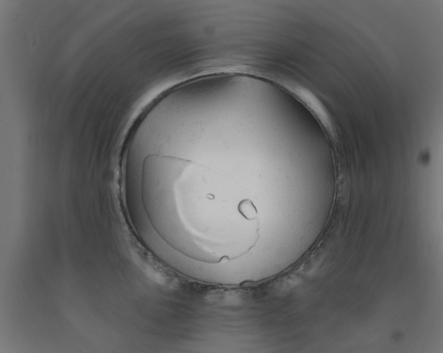 X0000090891051200708241957