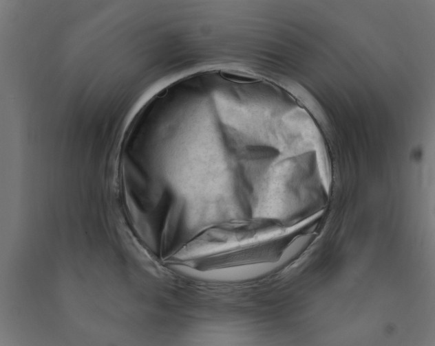 X0000090891052200708241957