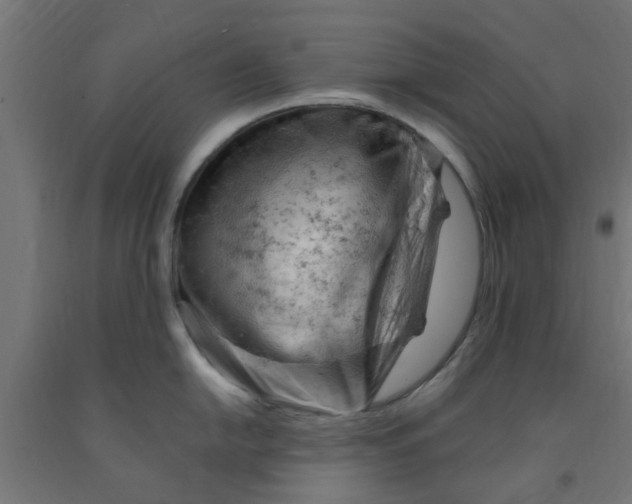 X0000090891054200708241957