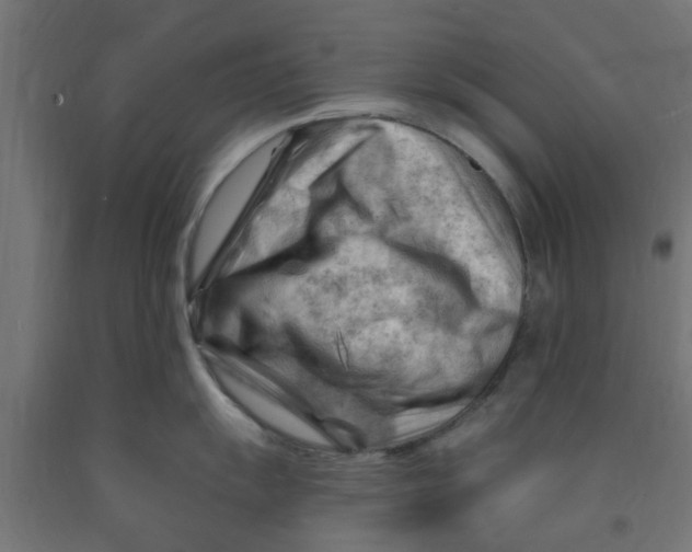 X0000090891055200708241957