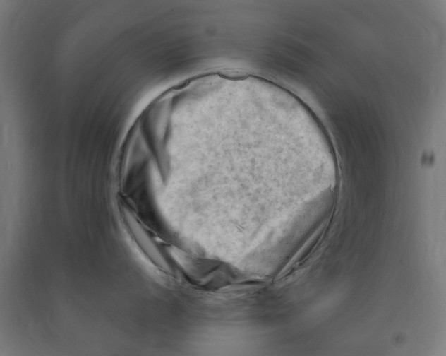 X0000090891056200708241957