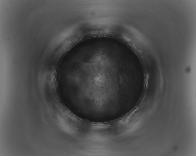 X0000090891059200708241957